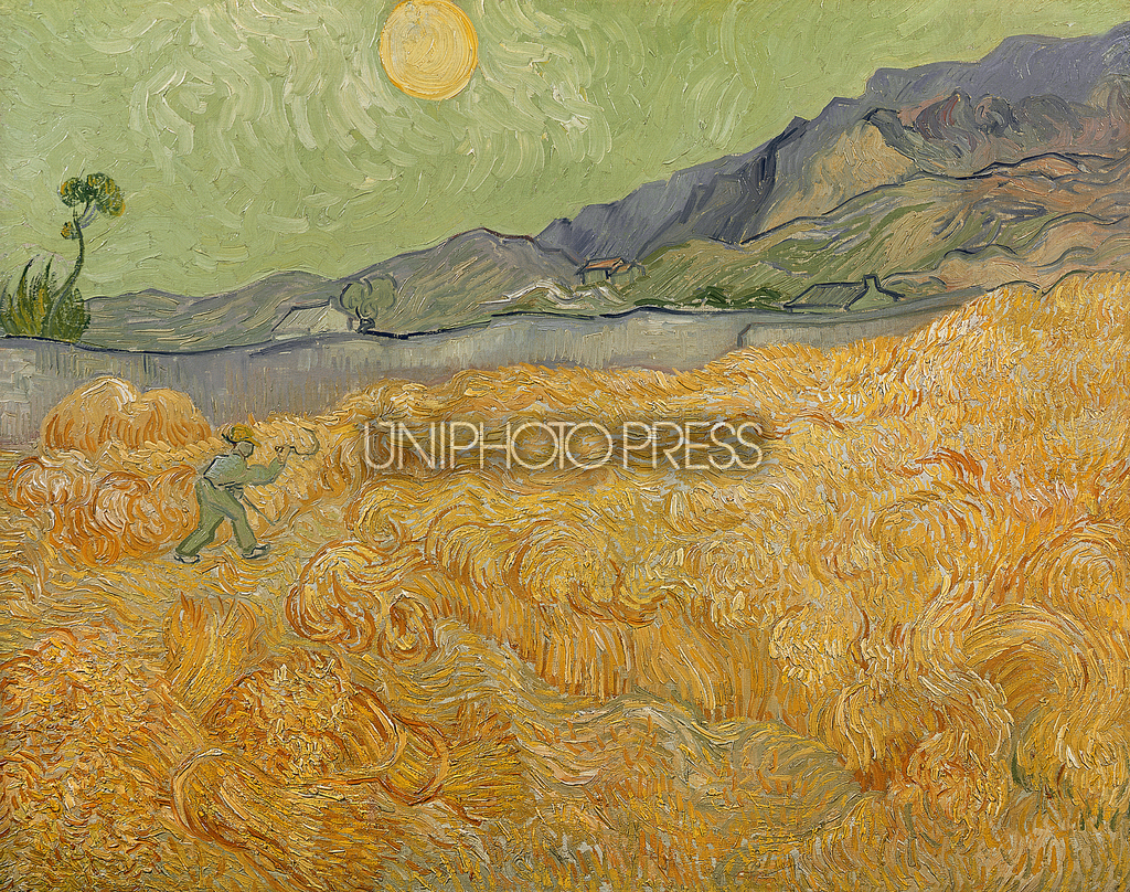 ゴッホが愛したものキャンバスの上で反復するモチーフ | UNIPHOTO