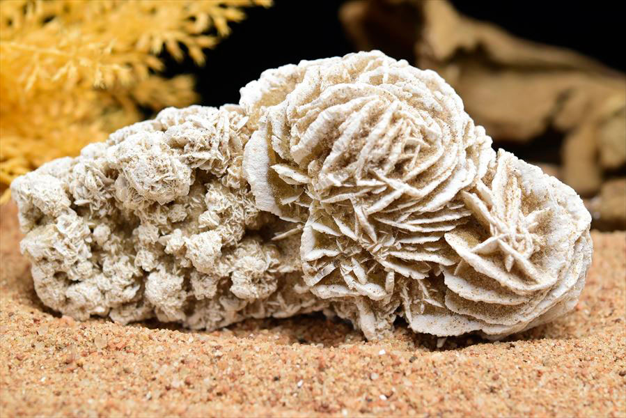 デザートローズ(砂漠の薔薇) クラスター原石｜メキシコ・サマラユ砂丘