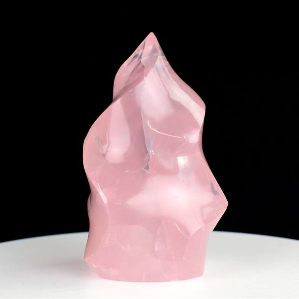 ホホジロザメ 歯 牙 化石｜サメの歯（約7.7g）｜モロッコ産