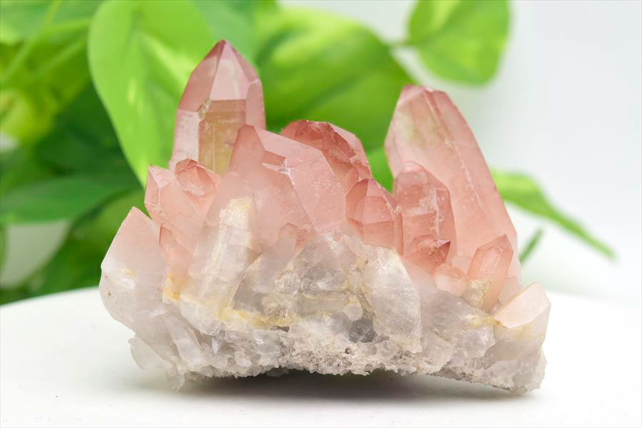 ピンクレムリアン クラスター 原石｜レムリアンシードクリスタル