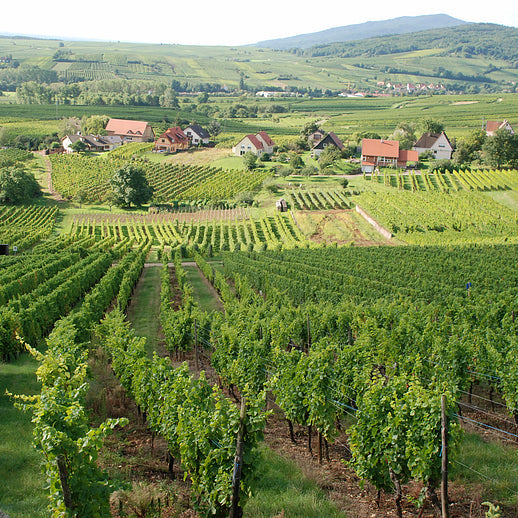 ボエケル クレマン・ダルザス ブラン・ド・ブラン ブリュット