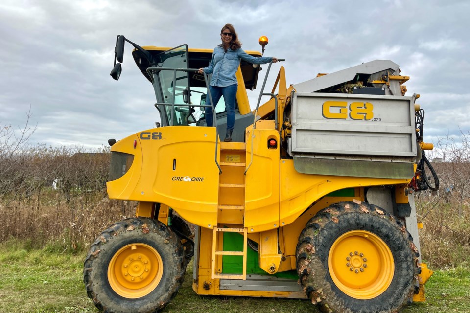 Joy tries it: Reporter drives a grape harvester - Niagara-on-the