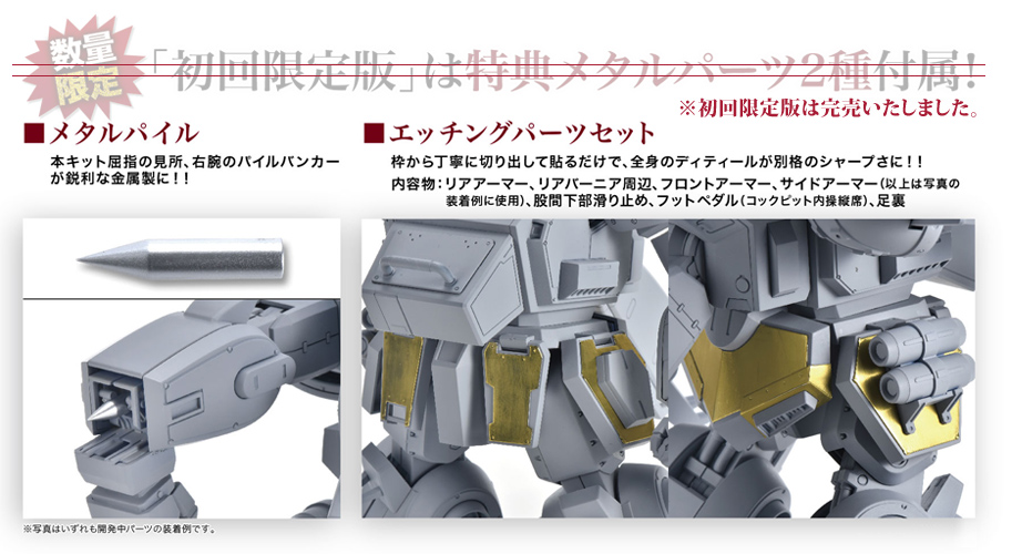 1/24スケール インジェクションキット シャドウ・フレア | Blue Knight