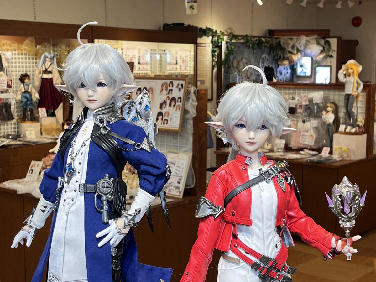 福岡店】「DDS アルフィノ」と「DDS アリゼー」予約受付&展示中です