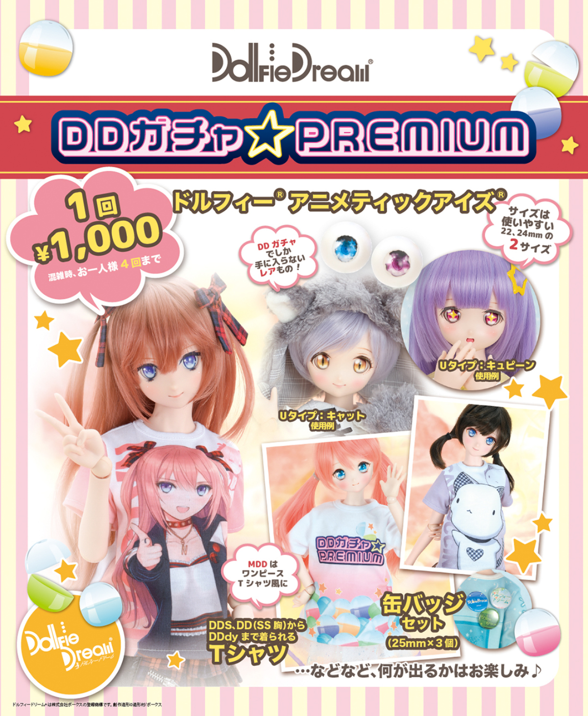 10周年記念フェア】DDガチャ☆PREMIUMのご紹介♪ | 天使のすみか・横浜