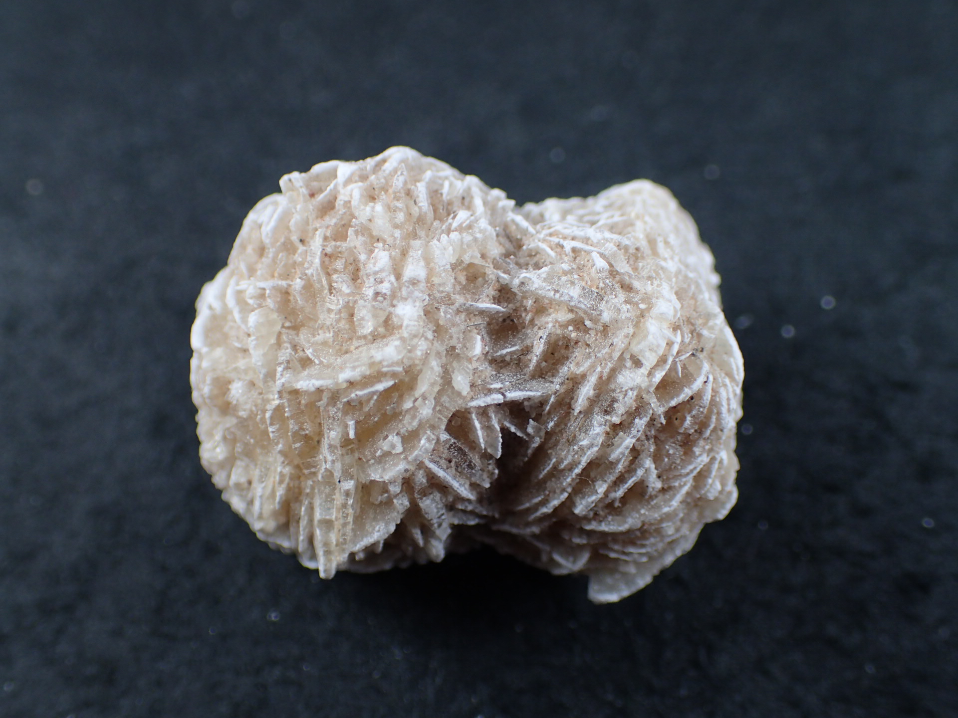 砂漠の薔薇（デザートローズ） モロッコ・サハラ砂漠 産 ｜石の販売