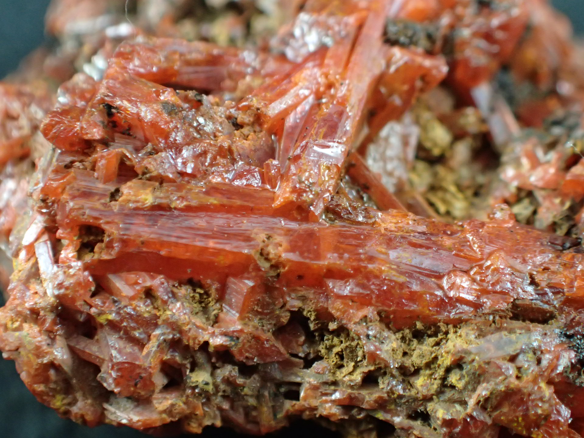 最高品質紅鉛鉱（(Crocoite)クロコアイト、PbCrO₄)) Adelaide Mine