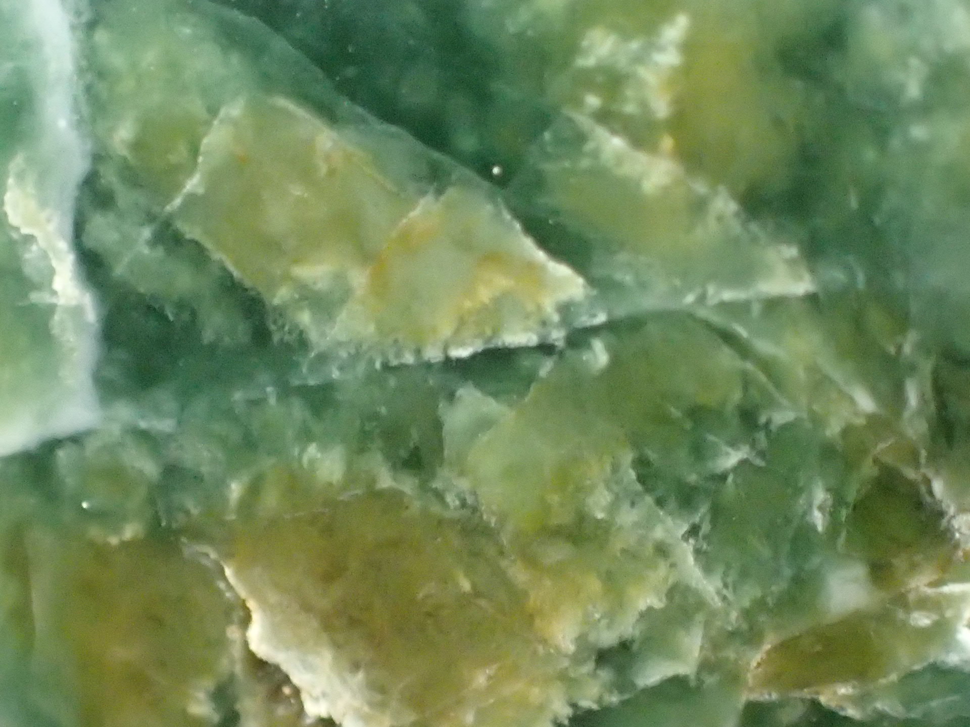 最高品質ダークグリーン糸魚川翡翠(Itoigawa Jade) 新潟県糸魚川市産