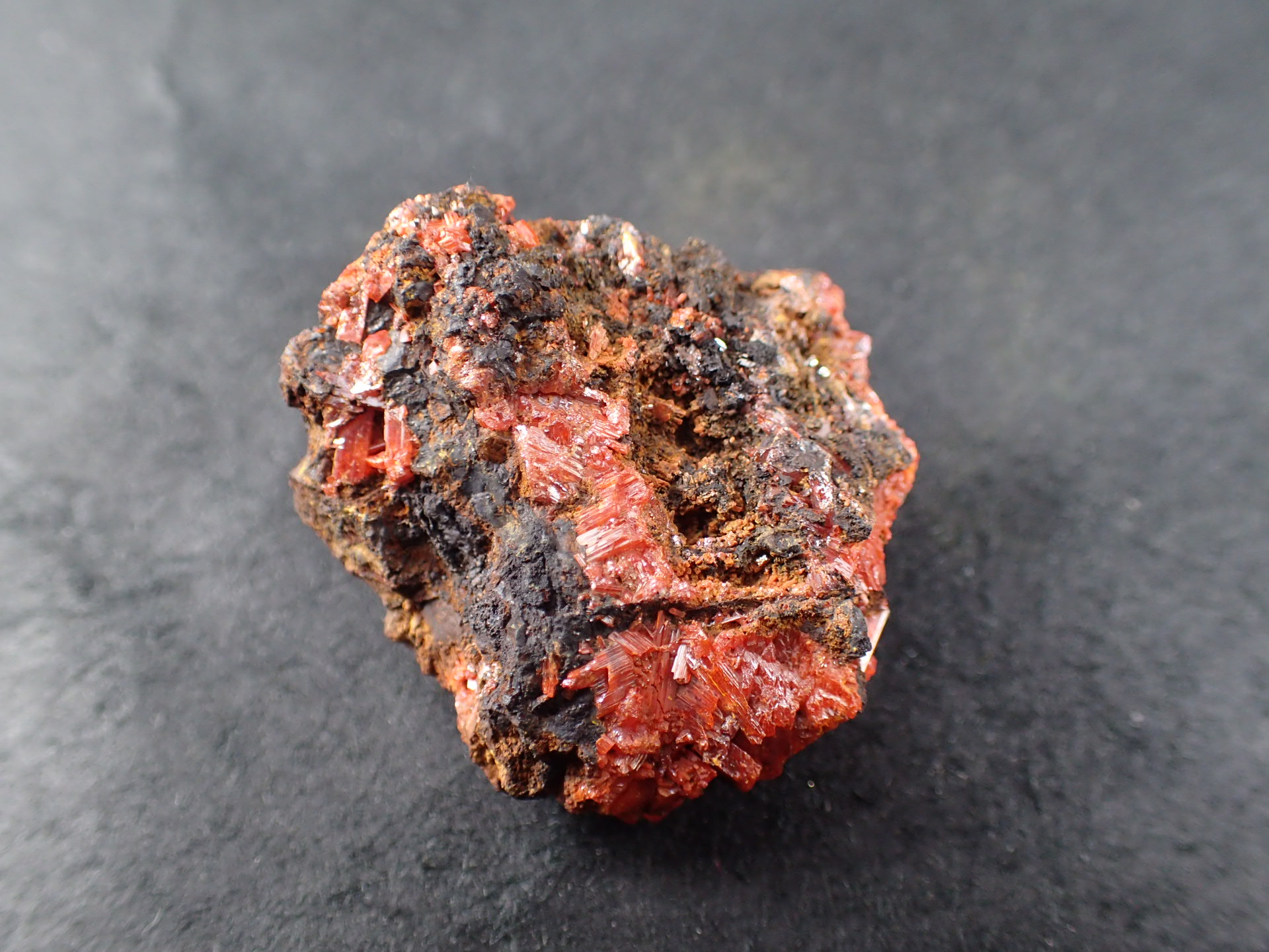 最高品質紅鉛鉱（(Crocoite)クロコアイト、PbCrO₄)) Adelaide Mine