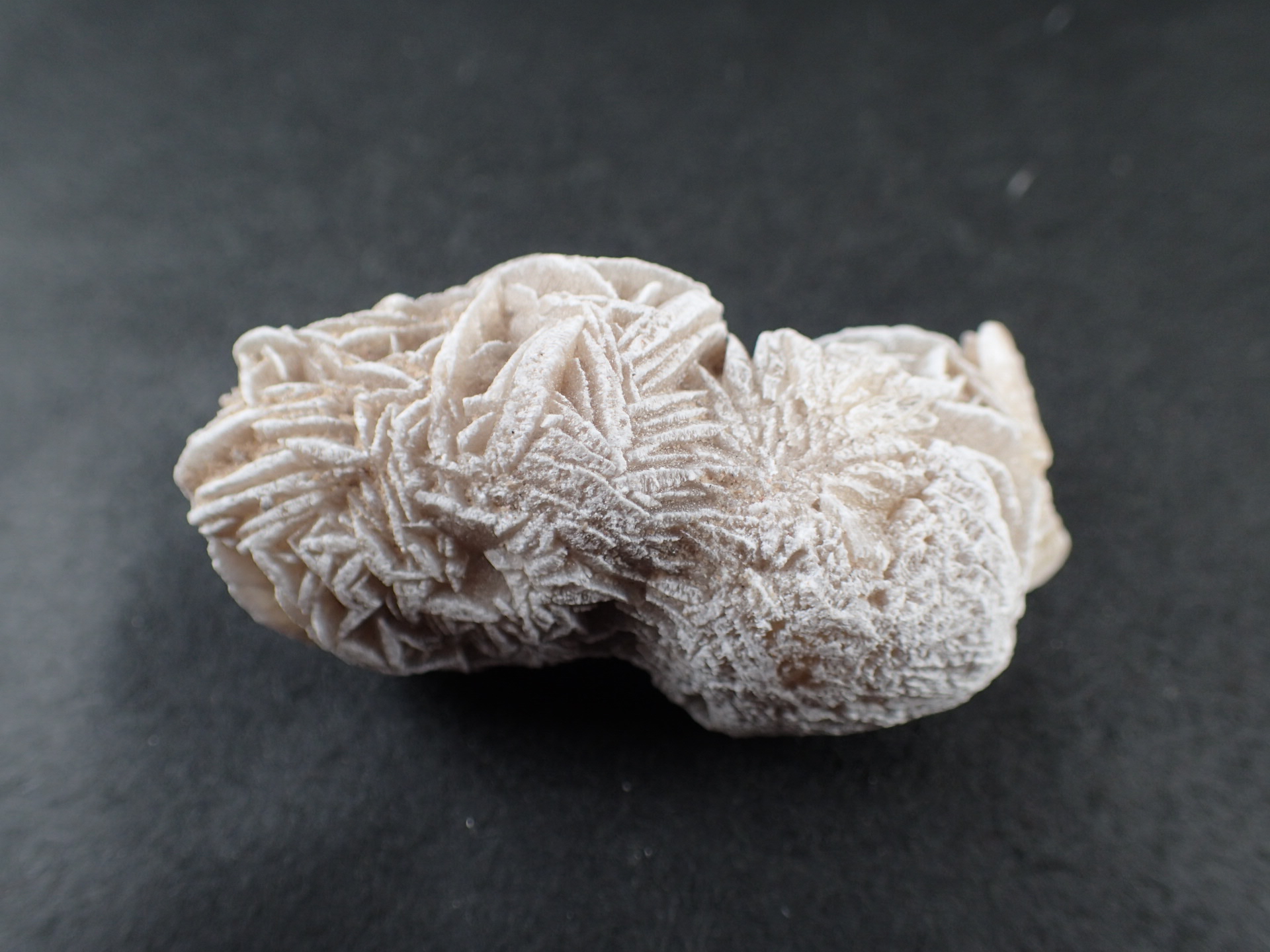 砂漠の薔薇（デザートローズ） ｜石の販売専門店【vec stone club】