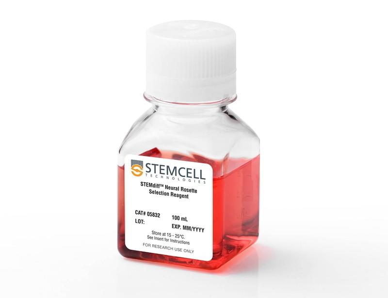 STEMdiff Neural Rosette Select Reagent | 製品情報 | ベリタス
