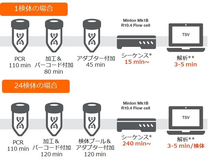 AllType Rapid 11 Loci Kit | 製品情報 | ベリタス