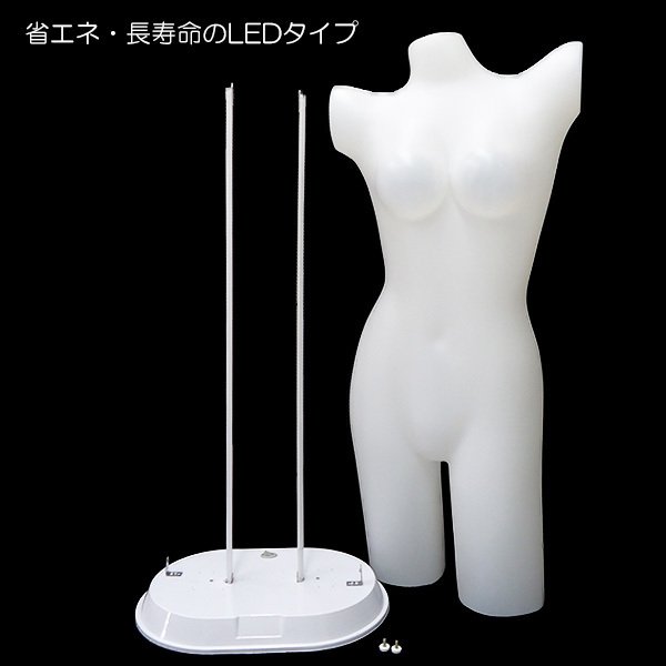 店舗のディスプレイに。トルソー/マネキン ライトアップマネキン下着用