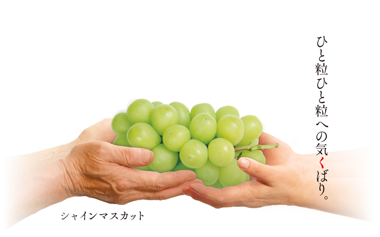 信州 生坂村のぶどうブランド-イクサカラット