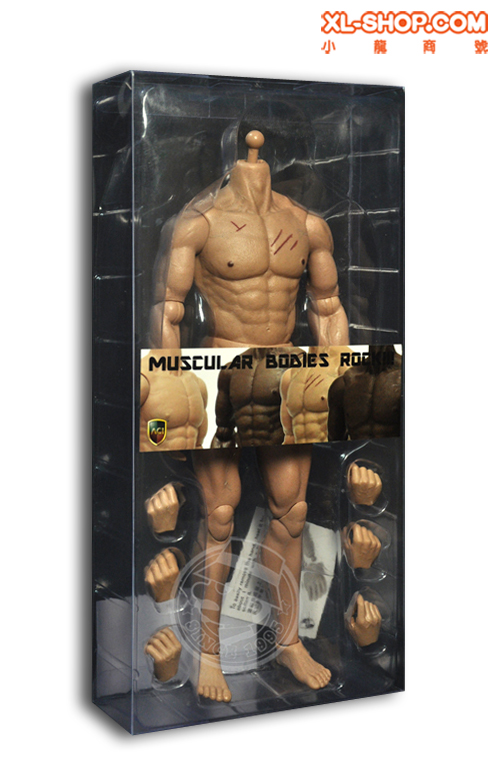 ACI Toys - 1/6 Body Series - Andrew Ver.1.1 (Scar Version