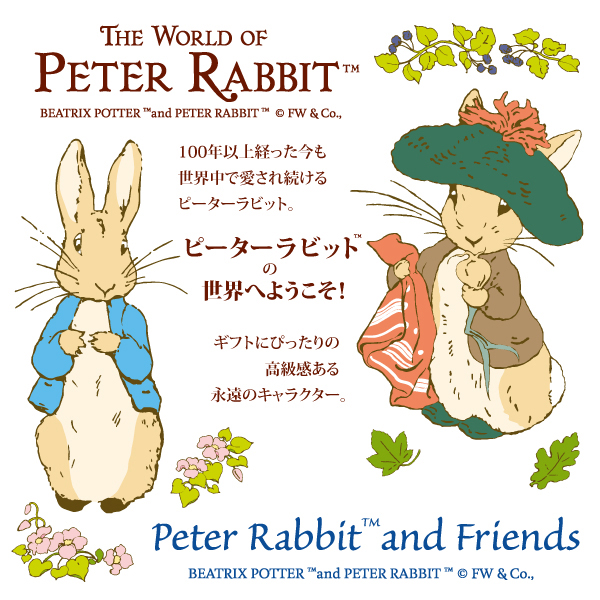 ピーターラビット ミニアート「ジマイマ(ホワイト)」 | ユーパワー
