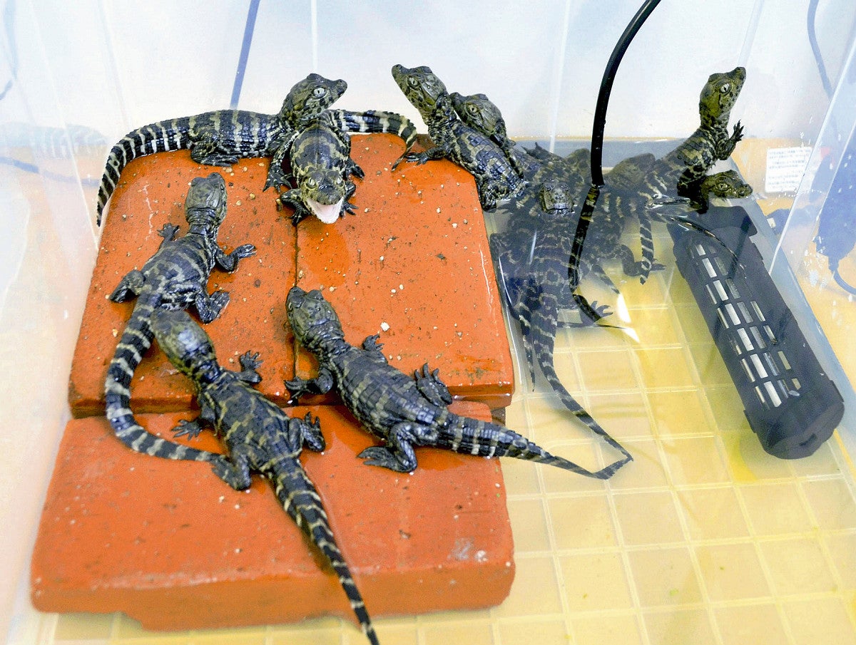 20250818-OYTNI50130-1.jpg?type=ogp