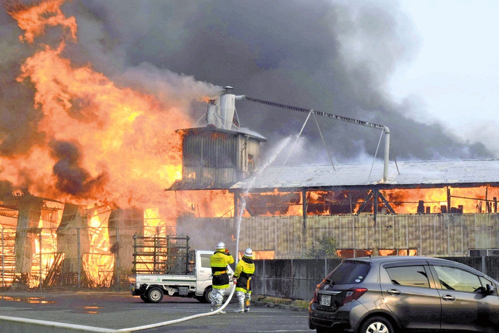 愛媛の山林火災、消火活動が延焼スピードに追い付かず…自宅に散水する