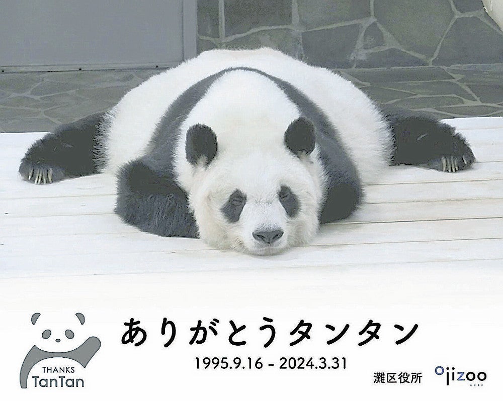 国内最高齢だったパンダ「タンタン」今も人気…お別れから1年、王子