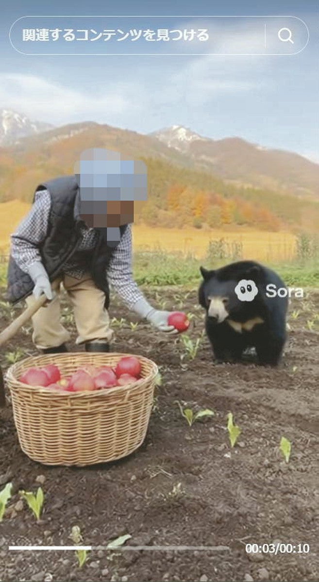 クマを「素手で撃退」「おばあちゃんが餌付け」…生成AIで偽動画