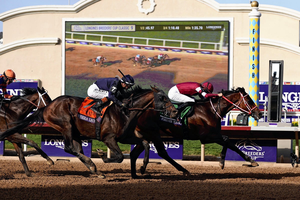 ブリーダーズカップ・クラシックでフォーエバーヤングが優勝…ダートの