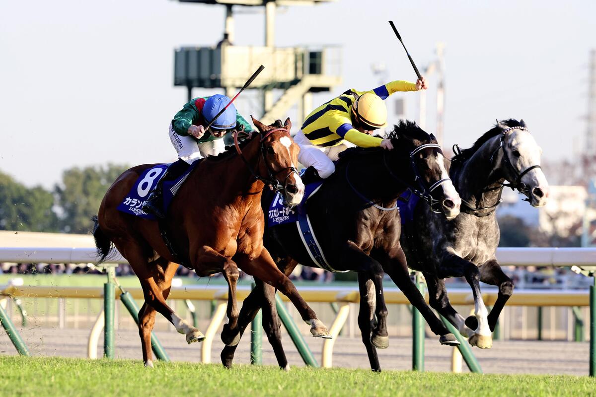 競馬ジャパンカップ、4番人気のカランダガン優勝 : 読売新聞