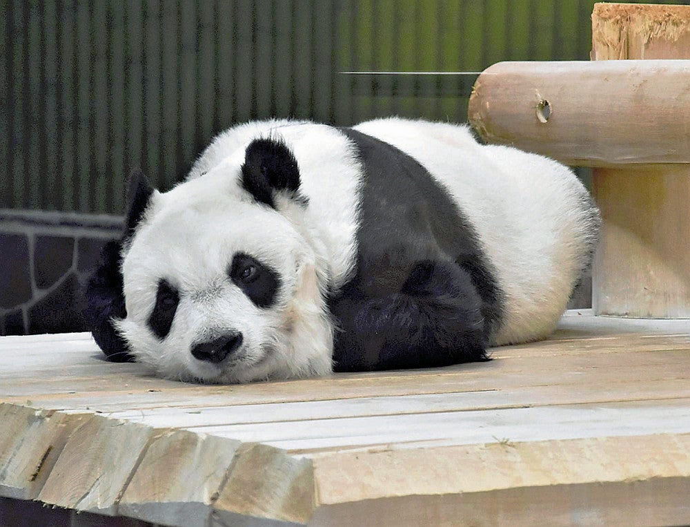 20230916-OYT1I50135-1.jpg?type=ogp