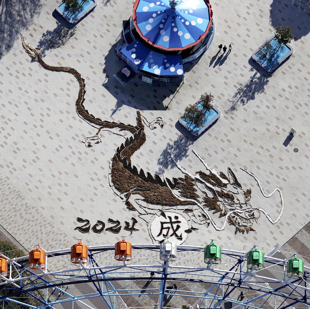 天から舞い降りる竜」出現…ひたち海浜公園、コキア・松ぼっくりで表現