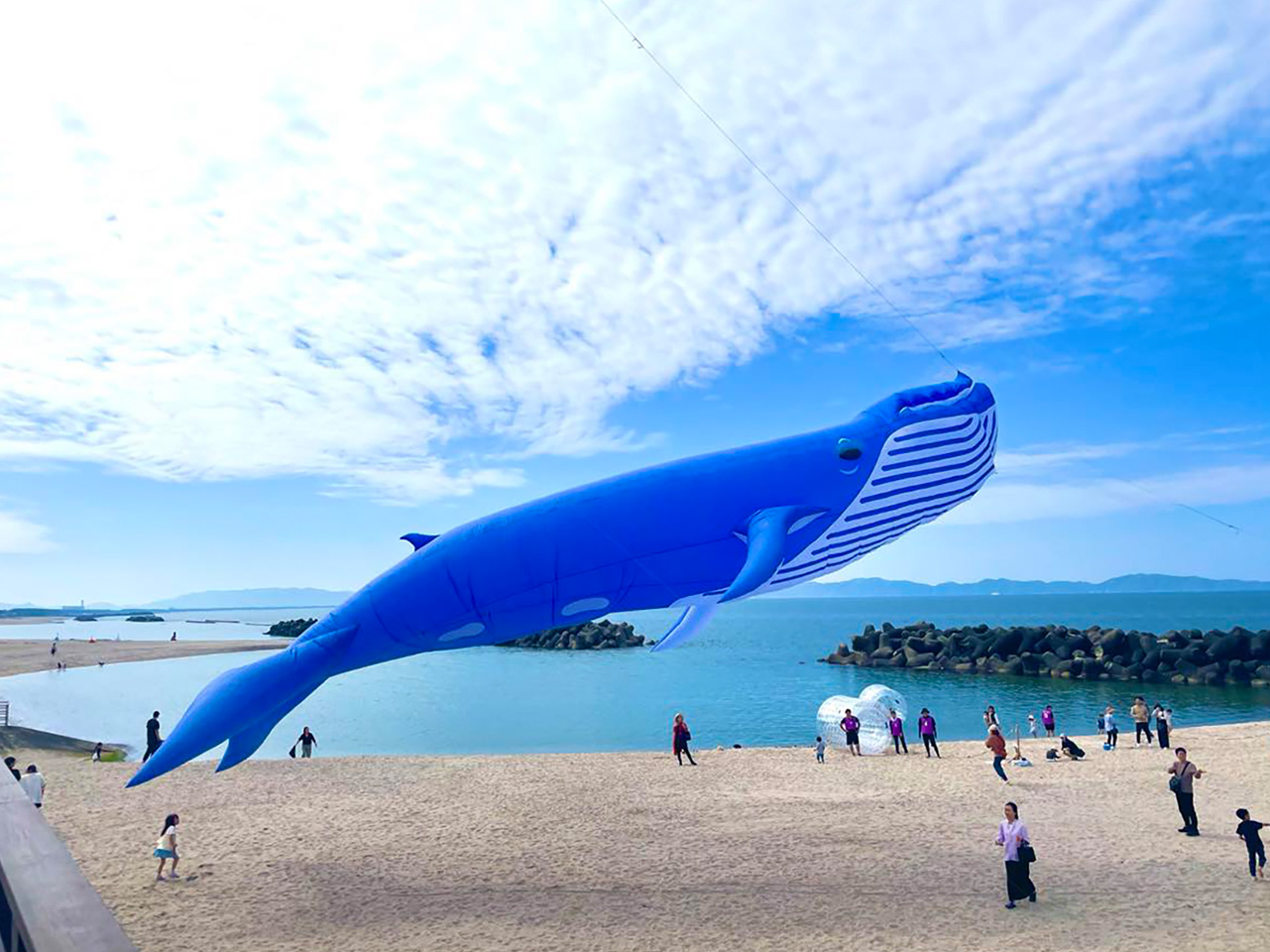 2025 カイケジャンボリー 5 ビーチをもっと自由におもしろく | 米子