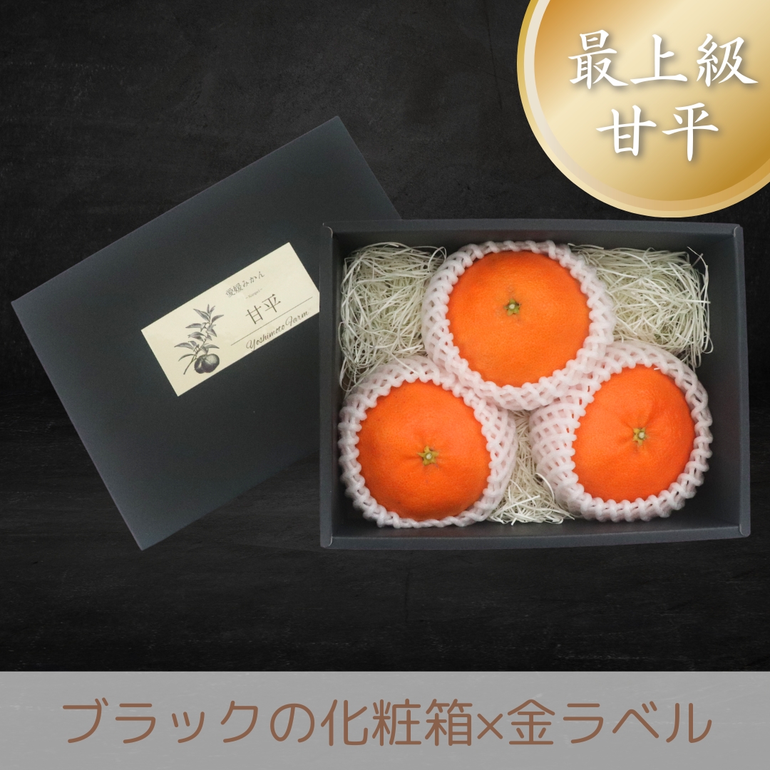 吉本農園 / 【最上級甘平】愛媛QUEENスプラッシュ（2Lサイズ3玉