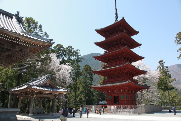 身延山久遠寺／富士の国やまなし観光ネット 山梨県公式観光情報