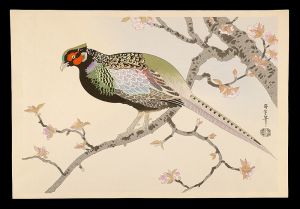 麻田辨次 | 美術作品 | 山田書店美術部オンラインストア