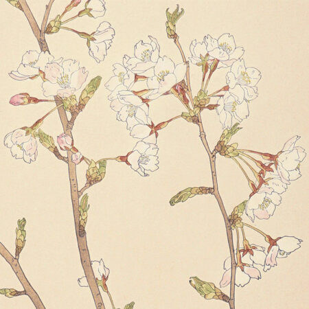 川瀬巴水「日光杉並木」 | 山田書店美術部オンラインストア