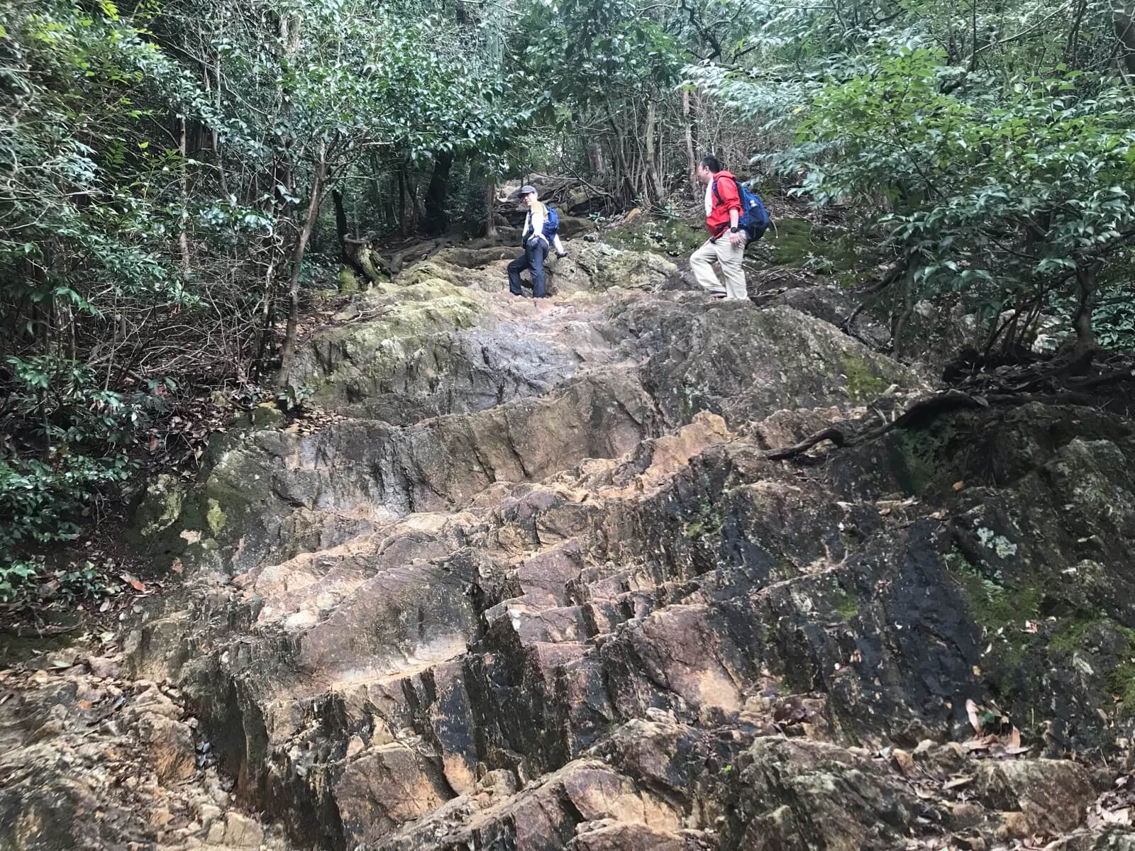 金華山｜織田信長も拠点とした岐阜市が誇る山-ヤマレコ