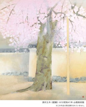 奥村土牛《醍醐》の桜 植樹後初めての開花 | 山種美術館（Yamatane