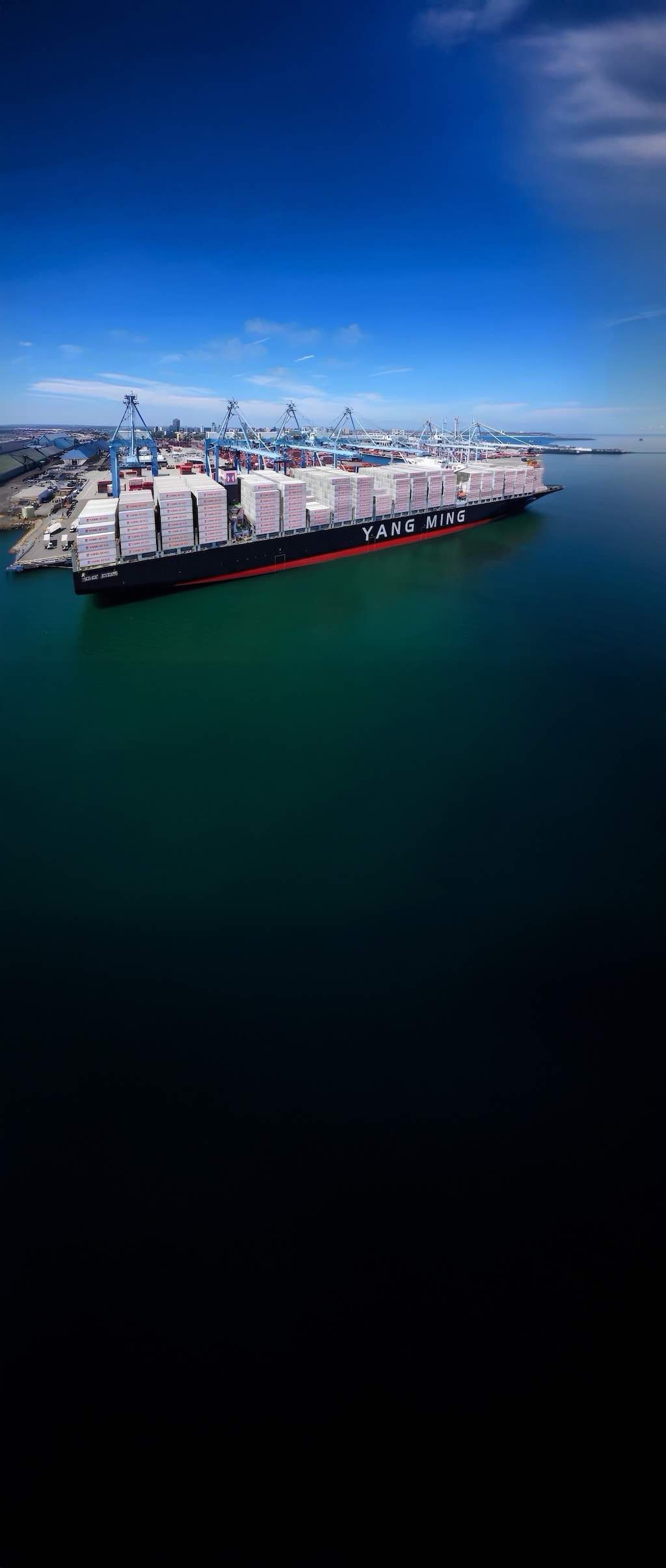 トレーラー 『YANG MING LINE』未使用 2025年版】Yang Mingのフリー