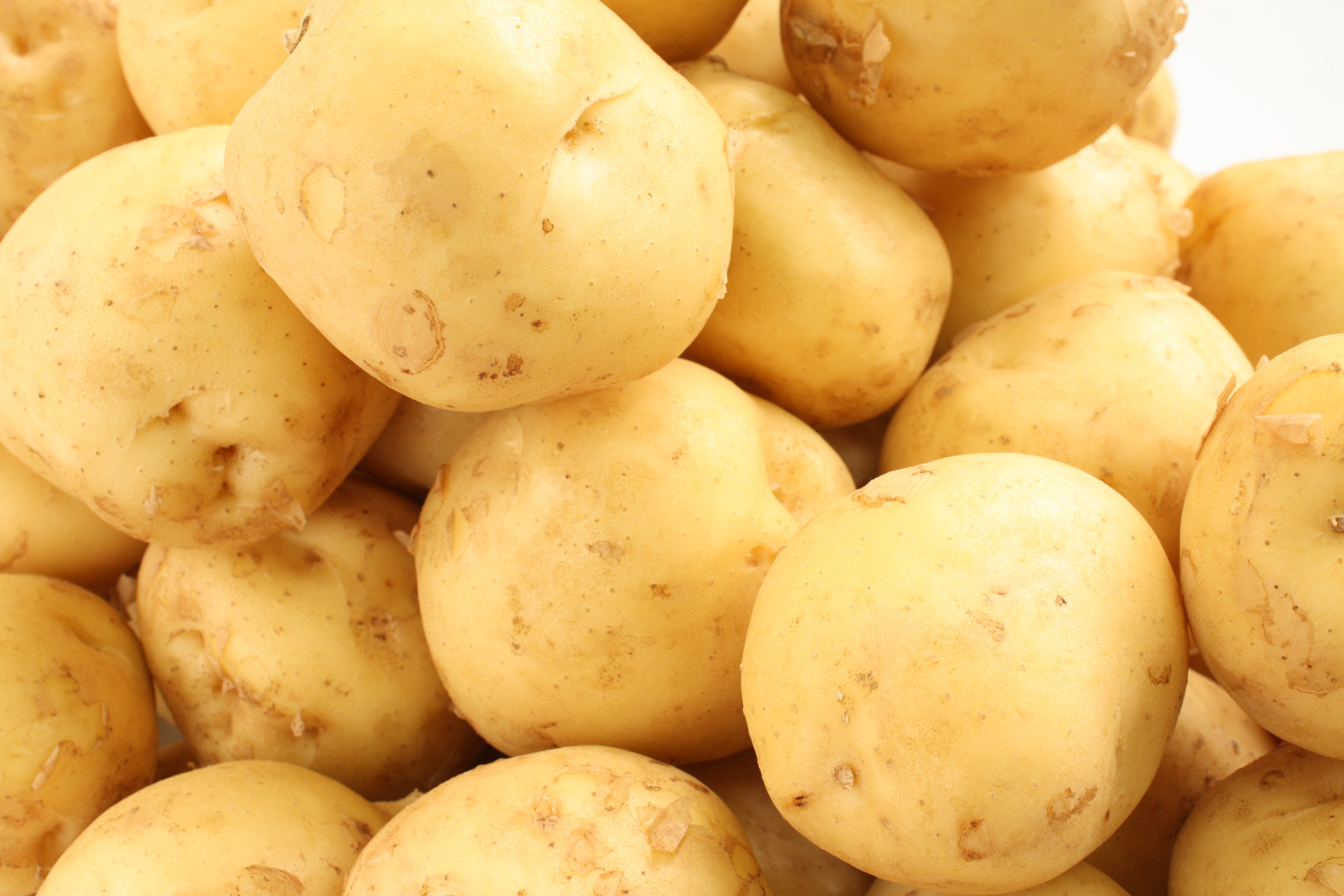 三方原 新じゃがいも 3kg – 八百久青果ネットショップ