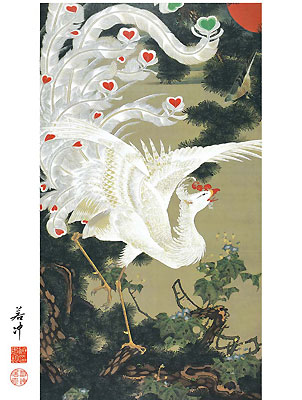 伊藤若冲作 日本の名画 老松白鳳図