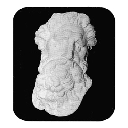 石膏デッサン 半面像 チグリス大顔面 【廃番】 | ゆめ画材