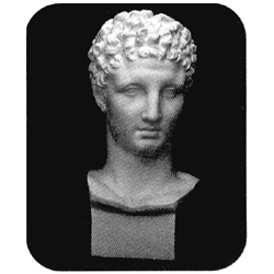 石膏デッサン 頭像 ヘルメス首像 【廃番】 | ゆめ画材