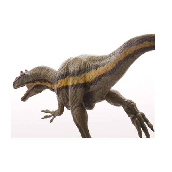 彩色フィギュア アロサウルス ターシックモデル | ゆめ画材