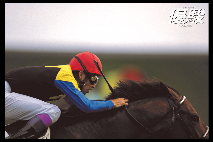 日本競馬の最強コンビ ディープインパクトと武豊 | ディープインパクト