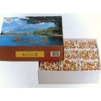 せんねん灸オフ 竹生島（ソフト） 1800点入 | 全医療器