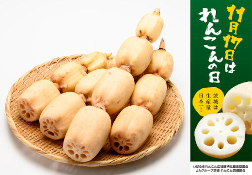 れんこん大産地 ibaraki れんこんの日キャンペーン～ibaraki れんこん