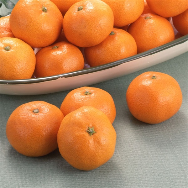 天下糖一（青島みかん）4.5kg 1月中旬発送開始 | 全農食品オンライン