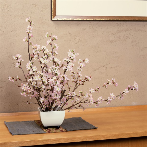 みちのく初桜（啓翁桜） 約70cm×5本 2月下旬発送開始 | 全農食品