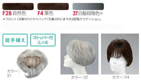 カラーもボリュームも思いのまま。増毛新時代に「美容室専用ウィッグ