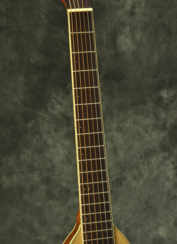 女子にもオススメ☆Washburn Rover トラベルギター