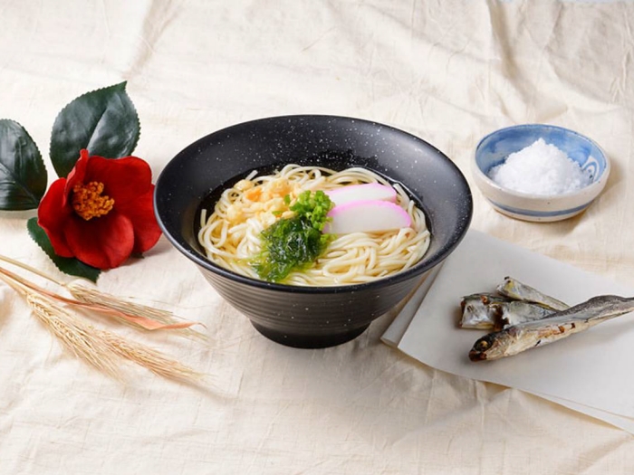 MR-10（冷凍）レンジ対応・五島手延うどん「七椿」 ミニうどん2食入り
