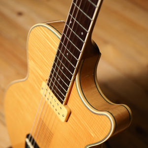 Ibanez AE 200 1989 Japan – wurst.guitars